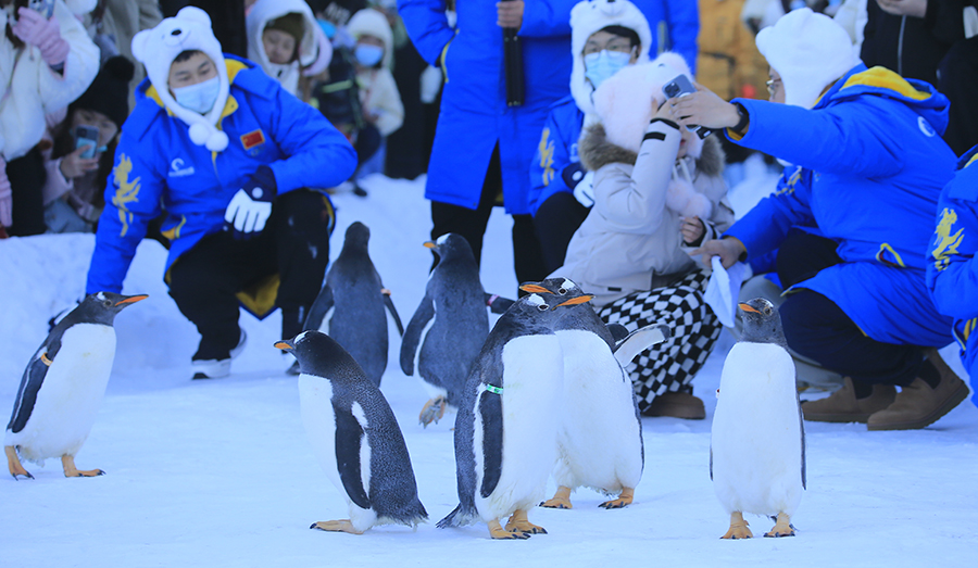 ???? ?? 832 ????? ????? ... ??????? ?????? ?? 