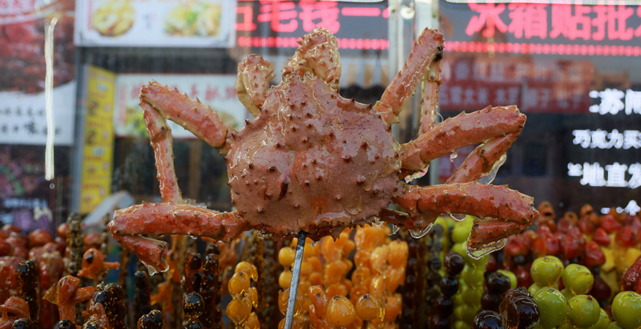 ???? ?? 832 ????? ????? ... ??????? ?????? ?? 