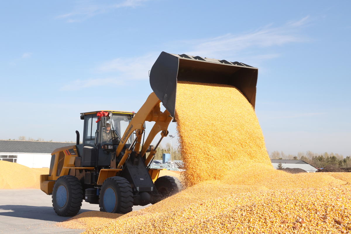 ??????? ????? ?? ?????? ?? 2023 ?????? 400 ????? ??