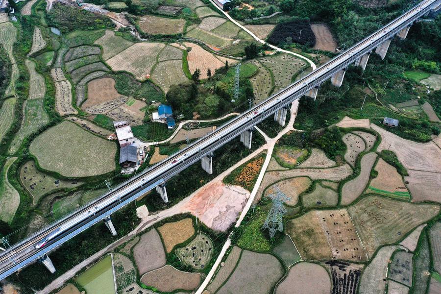 ?????? ???? 80 ??????? ?? ???? ????? ???????? ????? ?????? ?? ?????