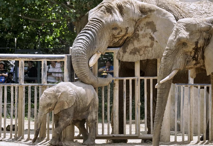 ?????? ?????? ?????? ????????? ???? ??????? ????? ?? ????? ?????? ????????? ?????????