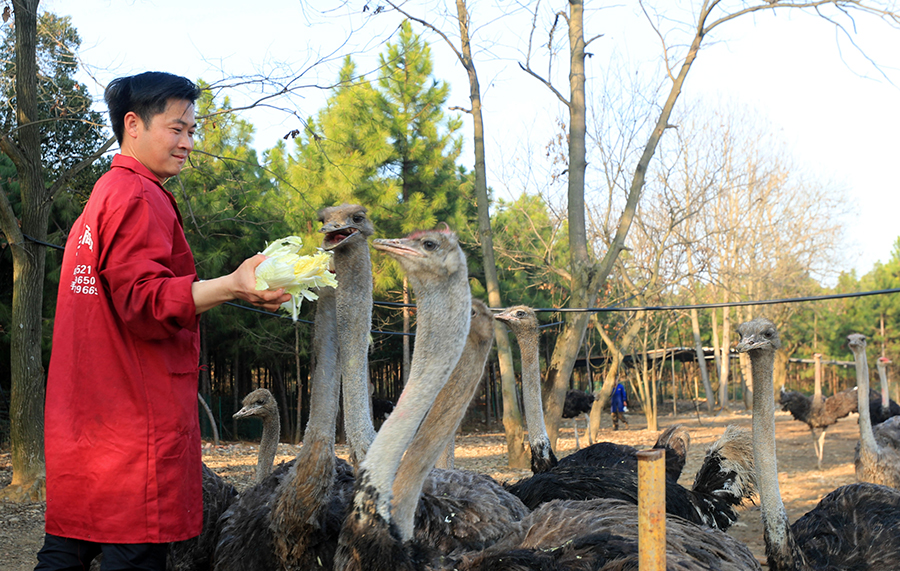 ????? ?????? ????? ????????? ??? ????? ????? ?? ?????? ????? ???? ?????