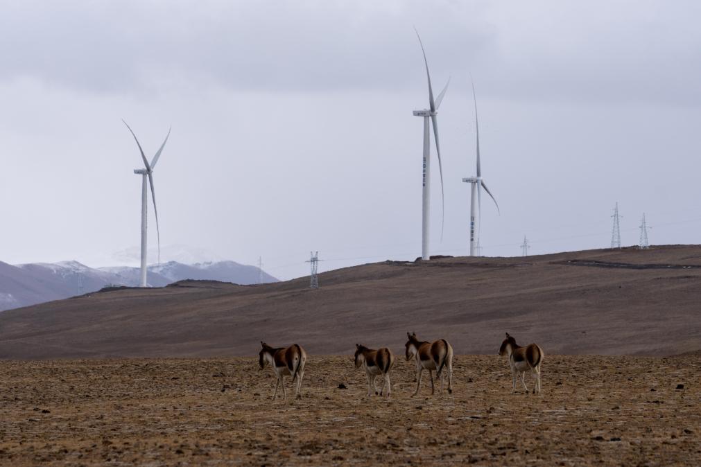 ??????: ???? ????? ?????? ????????? ????? ????? ???? ?? ?????? ?????? 200 ????? ??????? ????