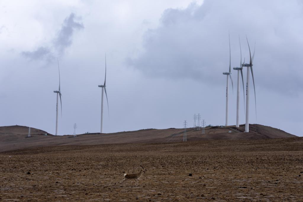 ??????: ???? ????? ?????? ????????? ????? ????? ???? ?? ?????? ?????? 200 ????? ??????? ????