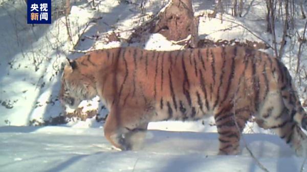 ??? ??? ?????? ???? ????????? ????? ???? ?????