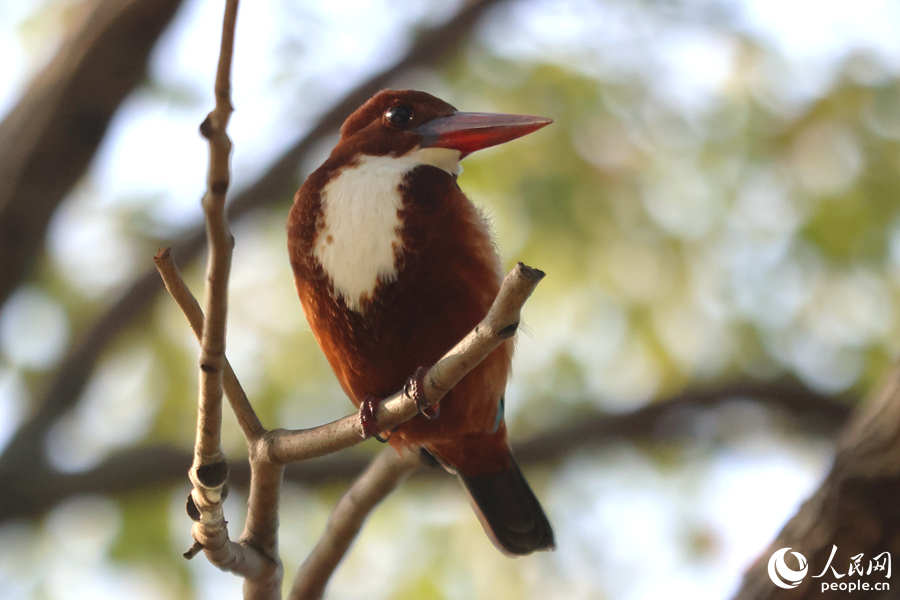 ????? ??????? ?? ????? ???? ?????? ?? ?????? ???????