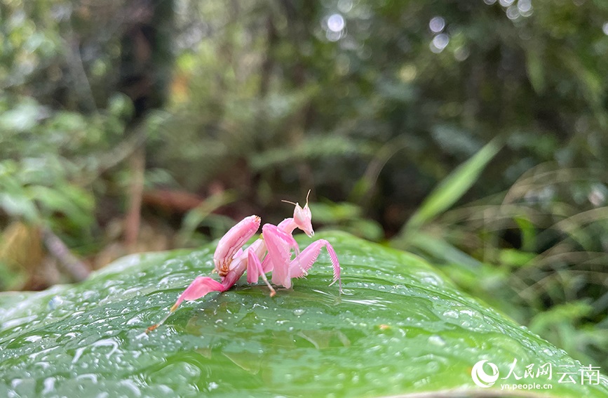 ??? ????.. ?????? ??????? ?????? ??????? ?? ??????