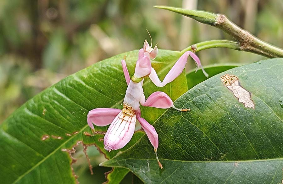 ??? ????.. ?????? ??????? ?????? ??????? ?? ??????