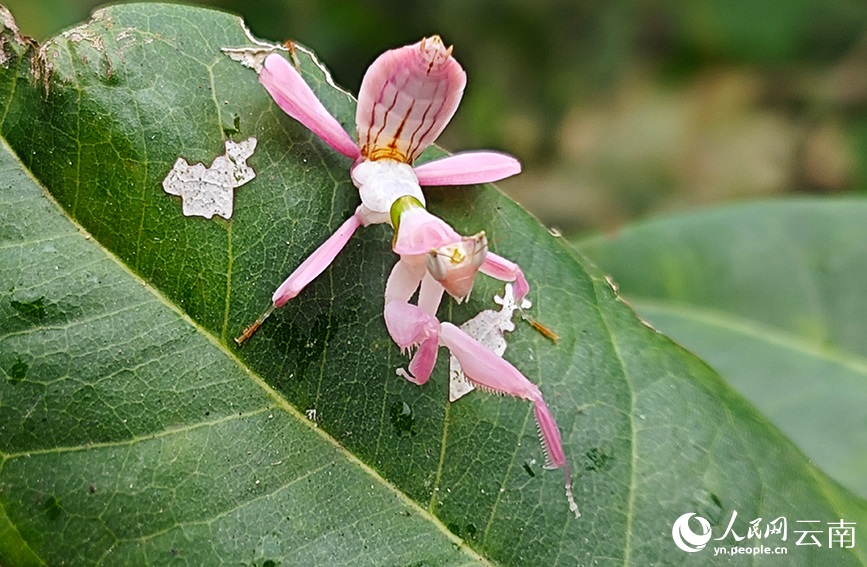 ??? ????.. ?????? ??????? ?????? ??????? ?? ??????