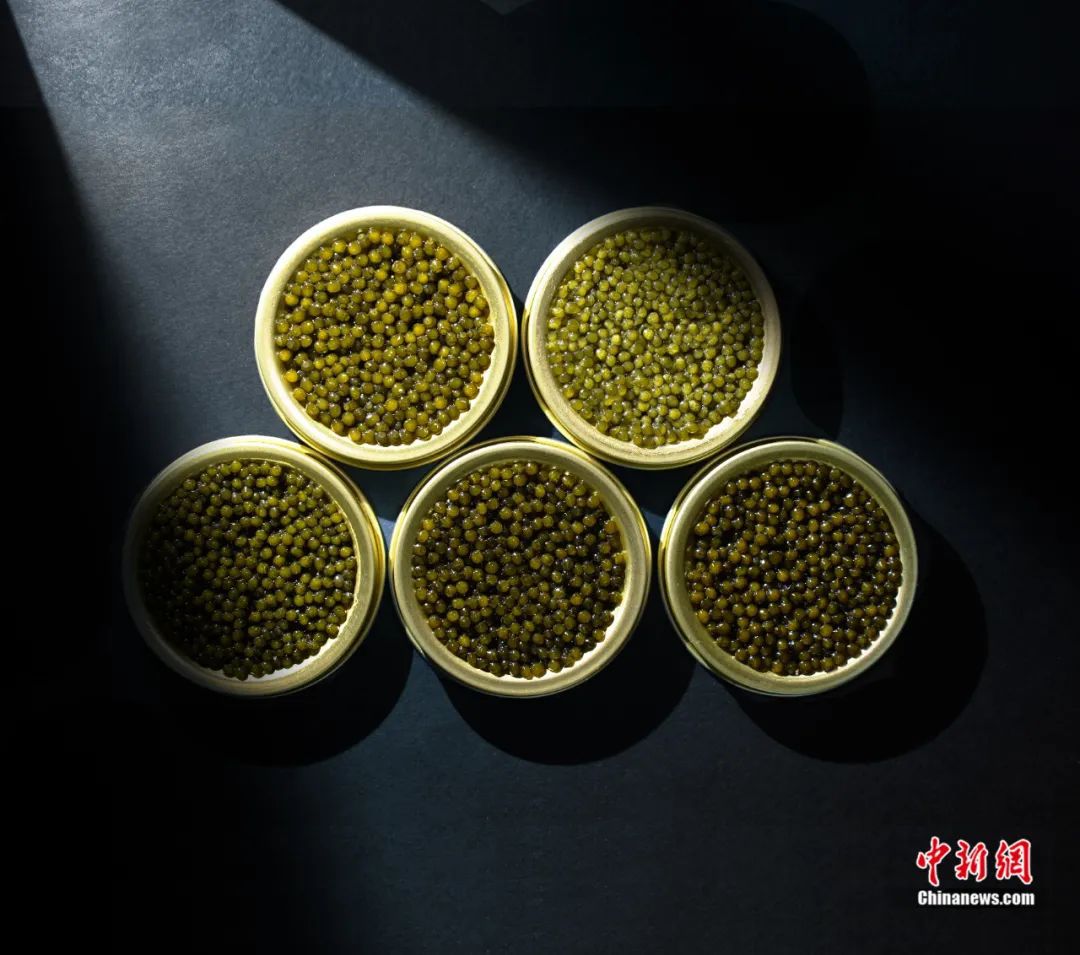 ???? ???????? .. ????? ????? 