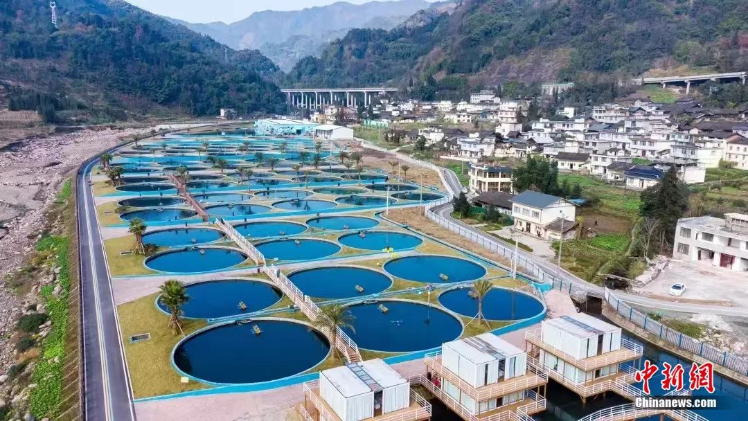 ???? ???????? .. ????? ????? 