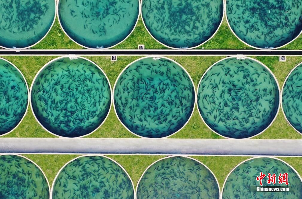 ???? ???????? .. ????? ????? 