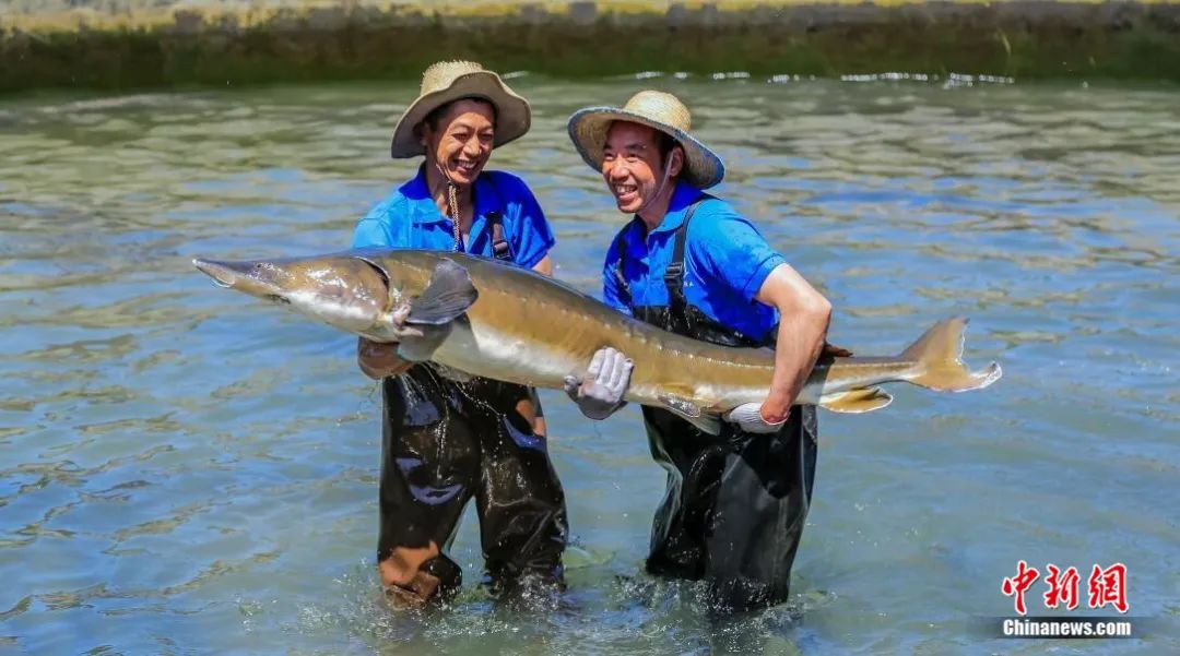 ???? ???????? .. ????? ????? 