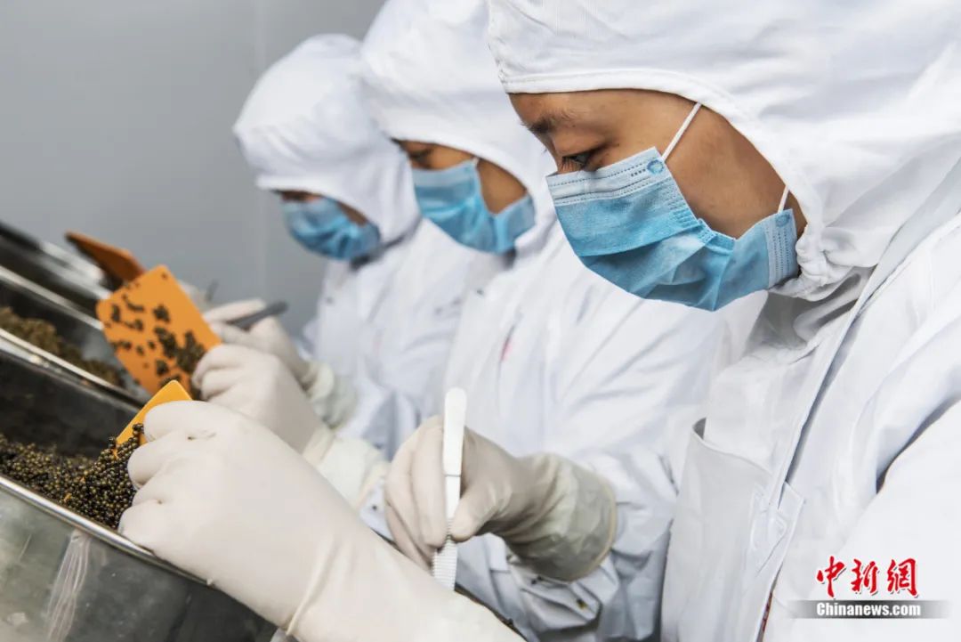 ???? ???????? .. ????? ????? 