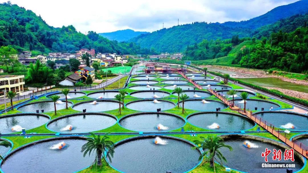 ???? ???????? .. ????? ????? 