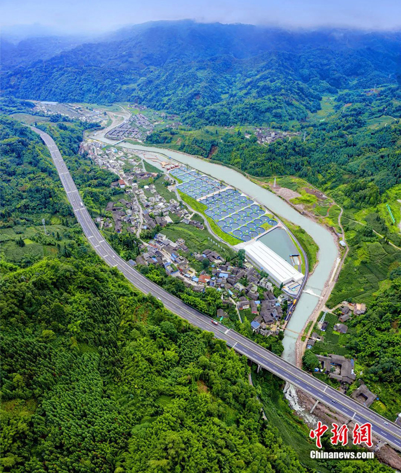 ???? ???????? .. ????? ????? 