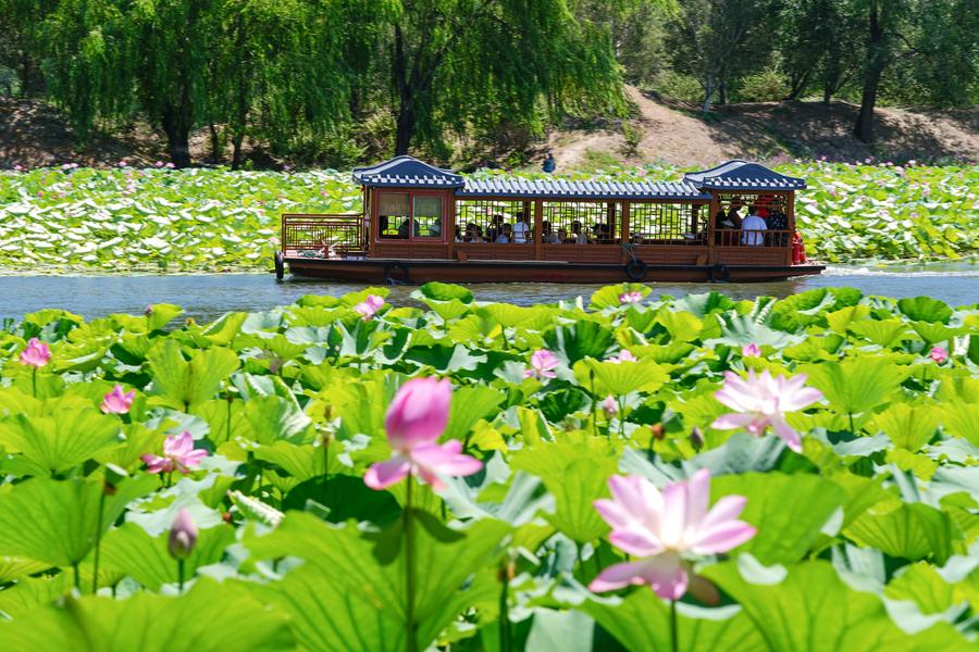 ???? ???? ????? ???????? ???????