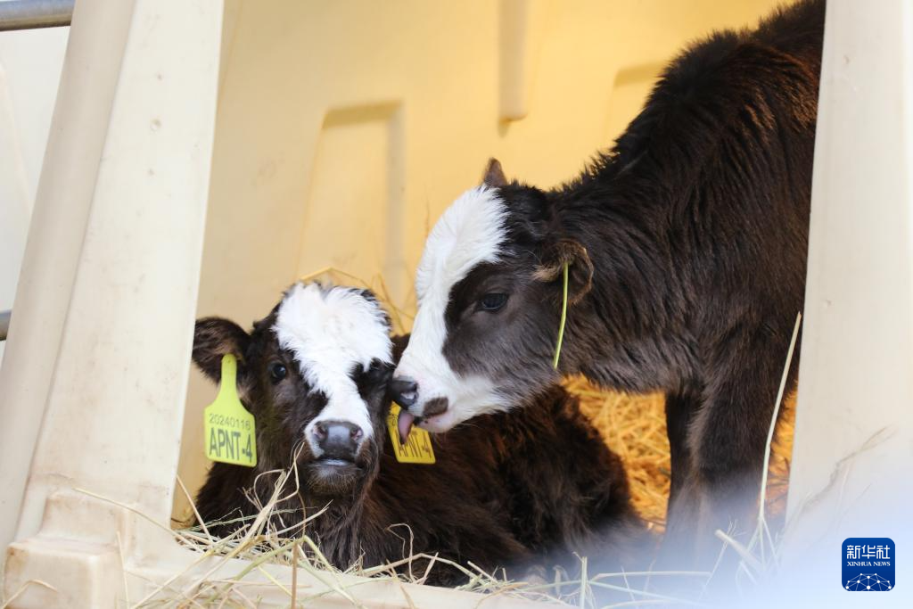 ????? ???? ???? ??? ??????? ?? ?????? ??????? ????? ??????? ??????? ?????????