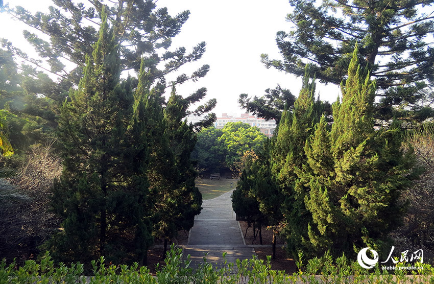 ??????? ??????? ?? ?????????? ???? ???? ?????? ????????? ?? ?????