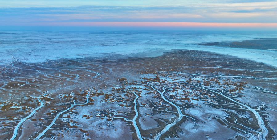 ????? ???? ????? ??????? ?????? ??????????