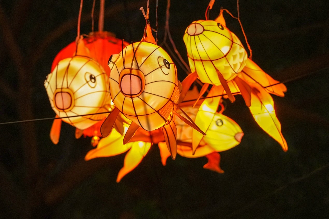 ?????: ???? ????? ?????? ????? ?? ?????? ??? ??????