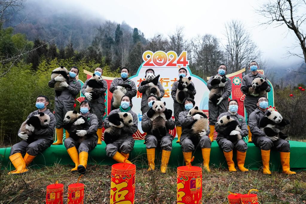 ??????: ????? ??????? ???????? ?? ?????