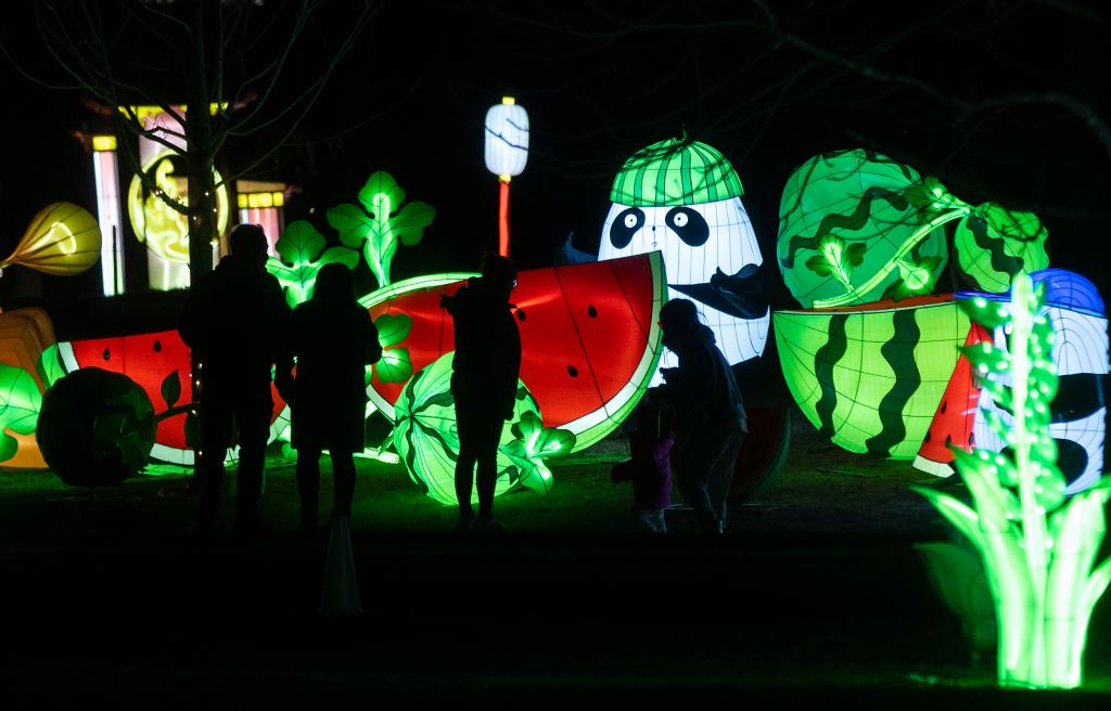 ??????: ???????? ?????? ?????? ?????? ?????? ?? ????