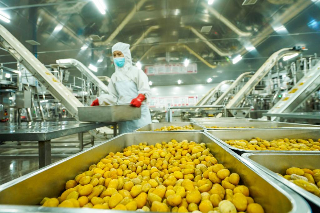 ??????? ????? ?? ????? ????? ??? ???? ??? ??????