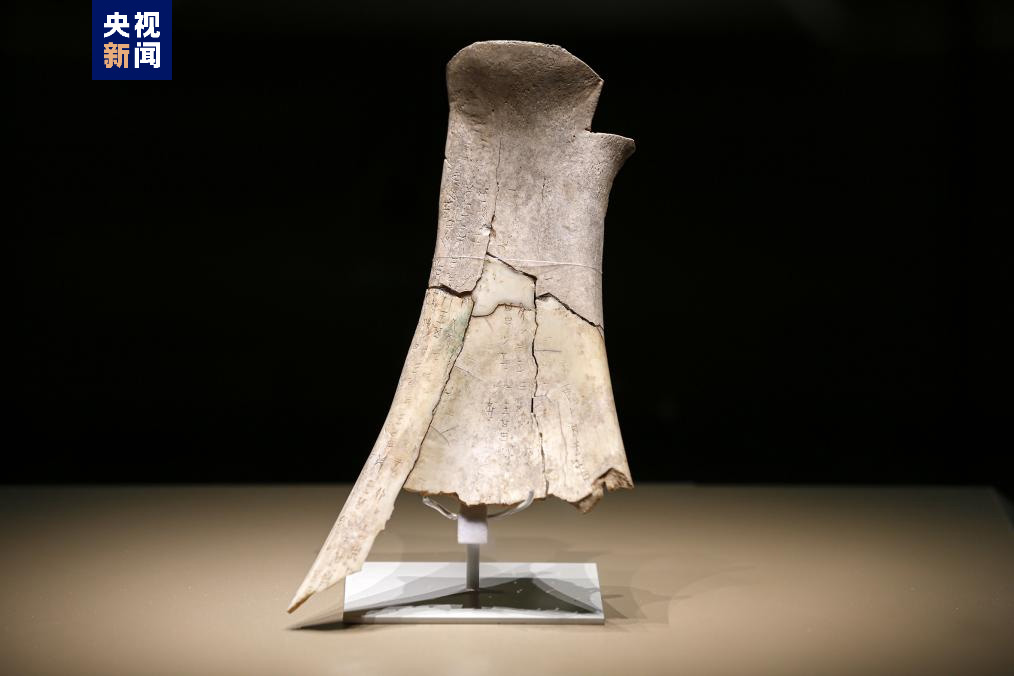 ?????? ???? ???? ????? ?? ???? ??? ????? ????? ???? ??????? ????? ??????