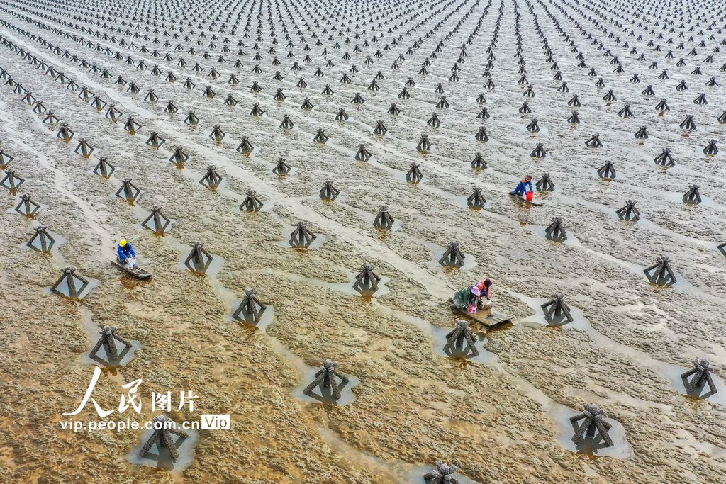 ??????? ????? ???? ????? ???? ???? ??????