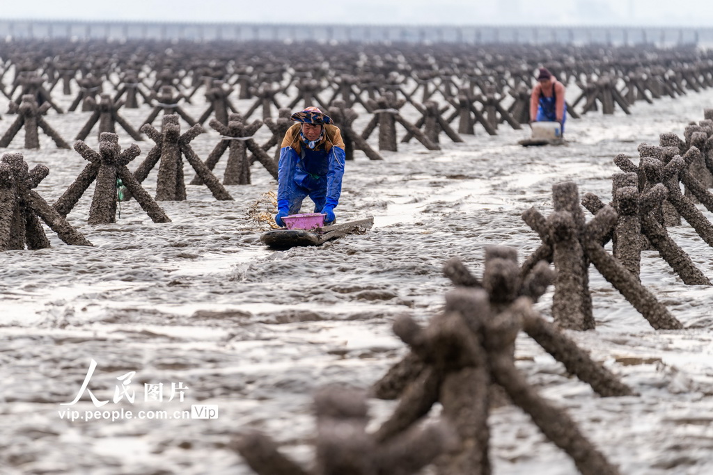 ??????? ????? ???? ????? ???? ???? ??????