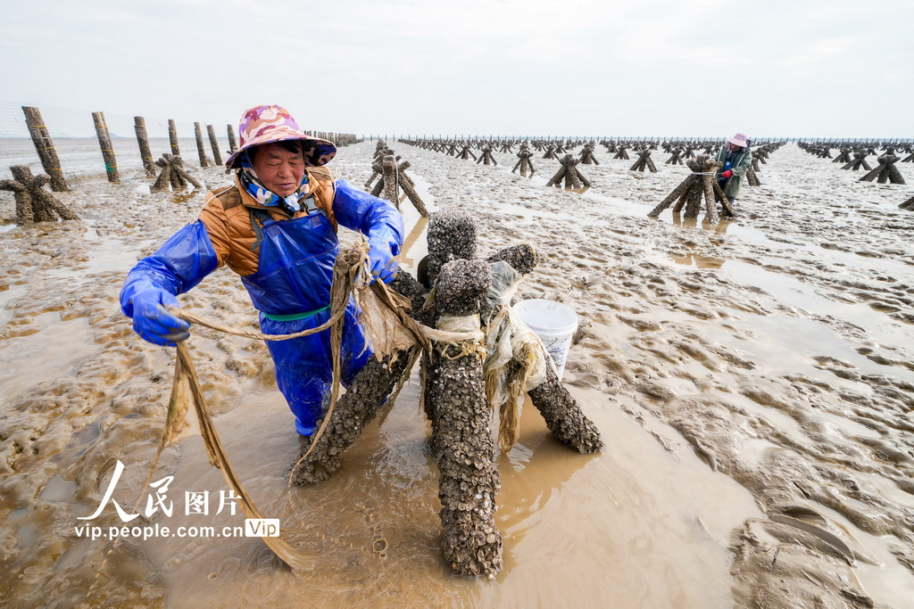 ??????? ????? ???? ????? ???? ???? ??????