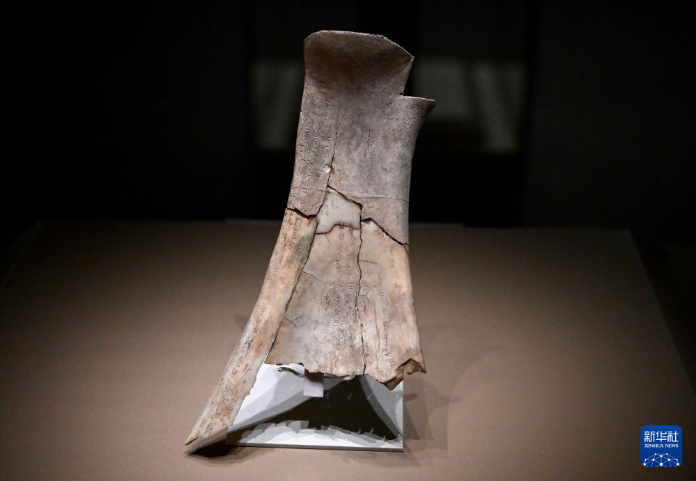 ?????? ???? ???? ????? ?????? ?? ???? ???? ????? ???? ??????? ??????