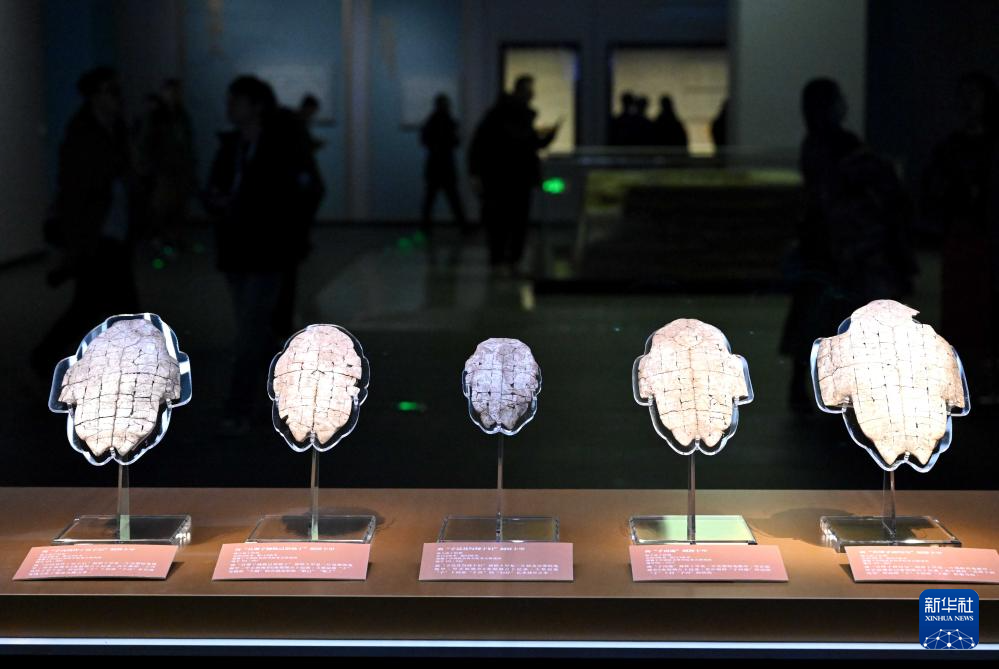 ?????? ???? ???? ????? ?????? ?? ???? ???? ????? ???? ??????? ??????