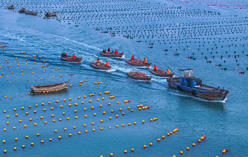 ??????? ??????? ?? ??????? ???? ?????