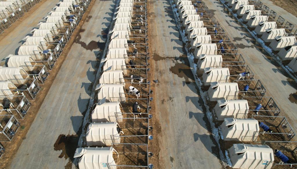 ??????: ????? ??????? ?????? ????? ??? ????? ??? ?????? ???????? ?? ?????? ????? ?????