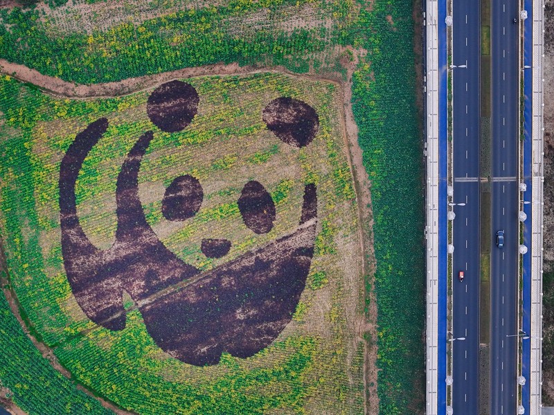 ????? ?????? ??? ??? ?? ????? ?? ??????