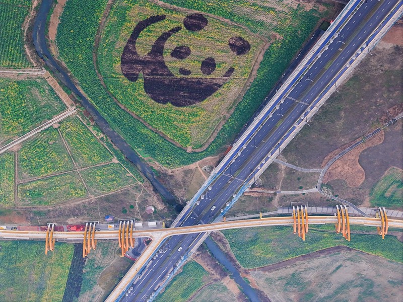 ????? ?????? ??? ??? ?? ????? ?? ??????