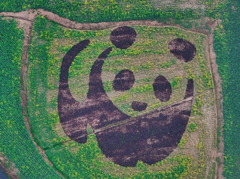 ????? ?????? ??? ??? ?? ????? ?? ??????