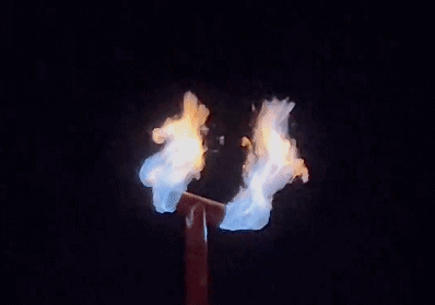 ???????? .. ?????? ?? ?????? ?? ??? 