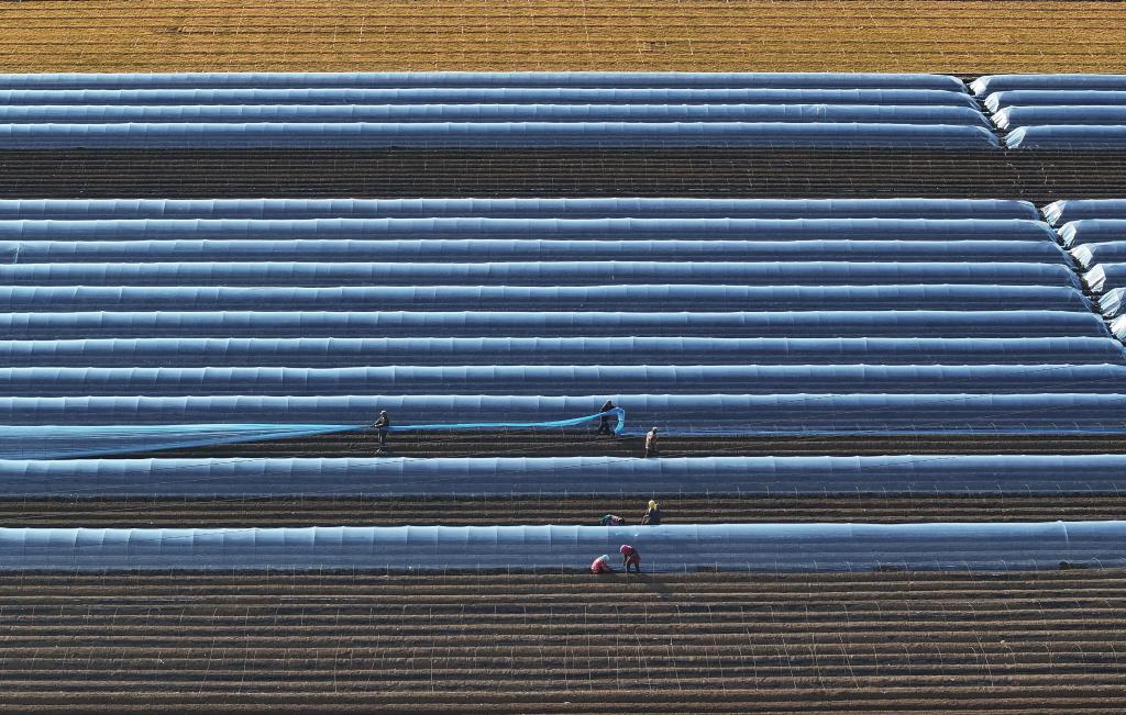 ??????? ???????? ?? ????? ?????