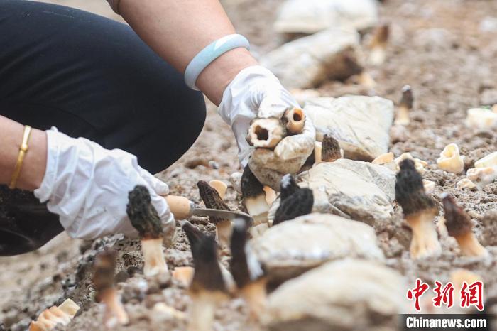 ??? ???????? ???? ??? ???? ????????? ?? ??????? ????????