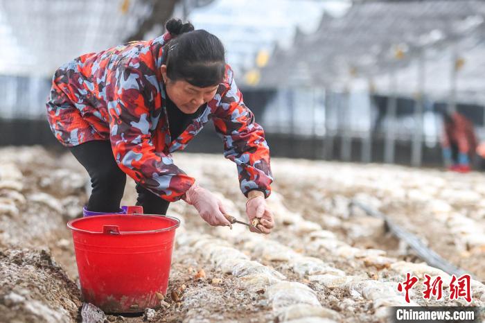 ??? ???????? ???? ??? ???? ????????? ?? ??????? ????????