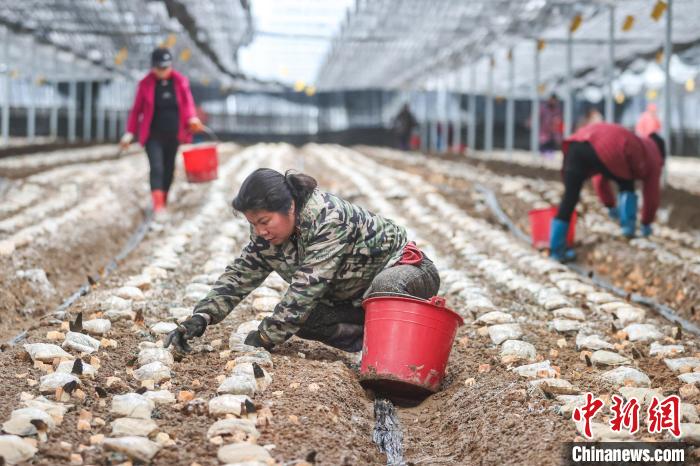 ??? ???????? ???? ??? ???? ????????? ?? ??????? ????????