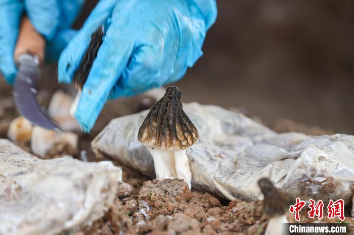 ??? ???????? ???? ??? ???? ????????? ?? ??????? ????????