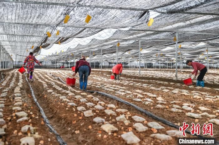 ??? ???????? ???? ??? ???? ????????? ?? ??????? ????????