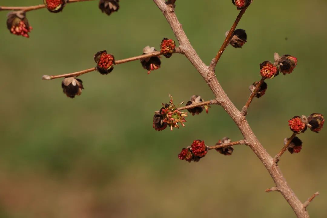 ????? ?? ??? ???????????? ??? ?????? ????? ?? ????? ???????? ????????