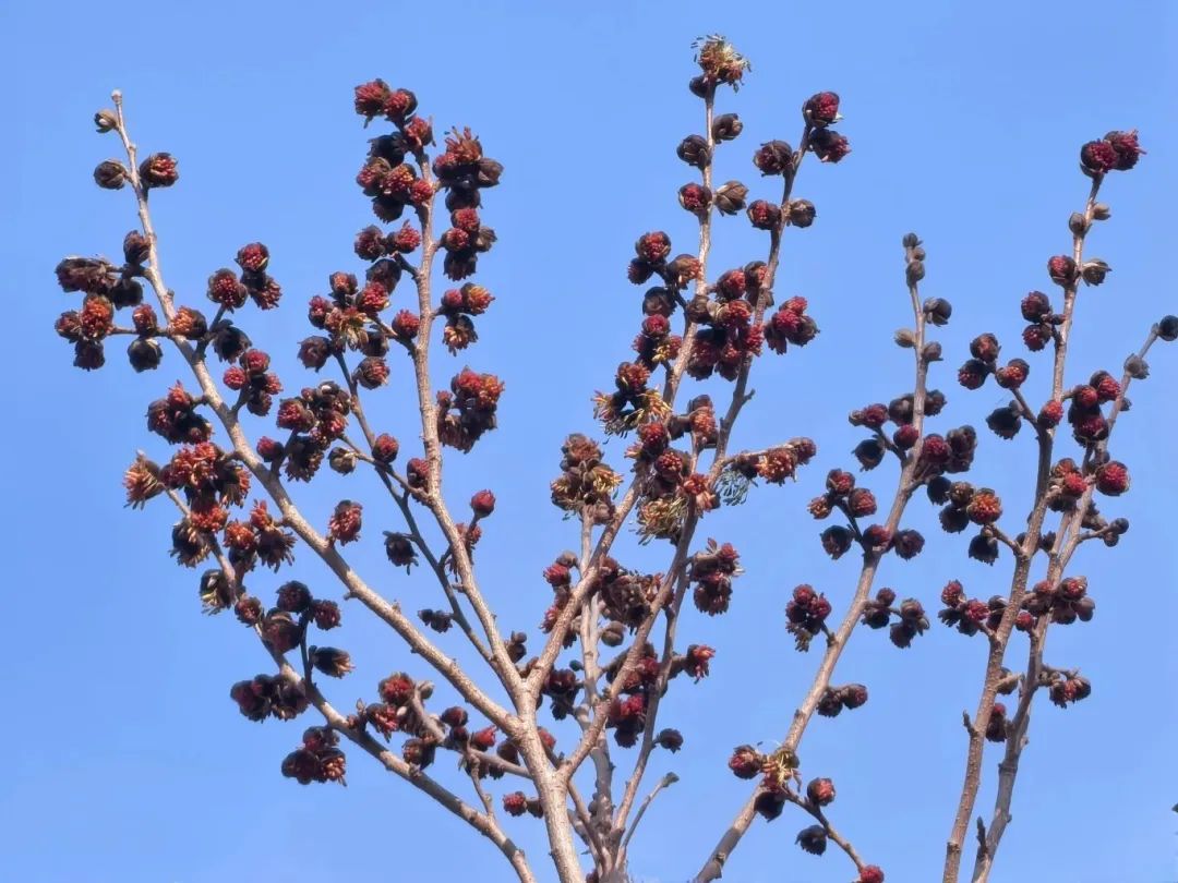 ????? ?? ??? ???????????? ??? ?????? ????? ?? ????? ???????? ????????