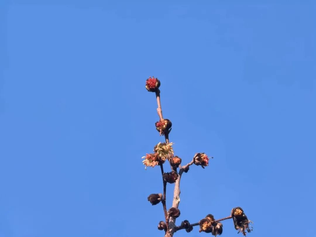 ????? ?? ??? ???????????? ??? ?????? ????? ?? ????? ???????? ????????