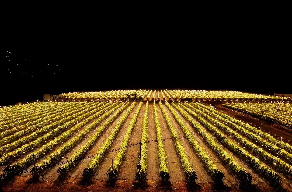 ??? ????? ?????? ?????.. ???? ???? ?????? ?????